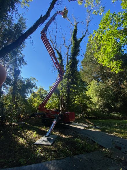 Tree Surgery in the sunshine for a Hinowa 26.14